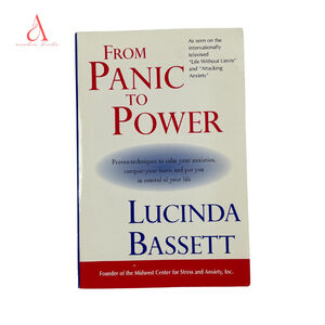 📚 3/$25 From Panic to Power by Lucinda Bassett | Paperback Book
